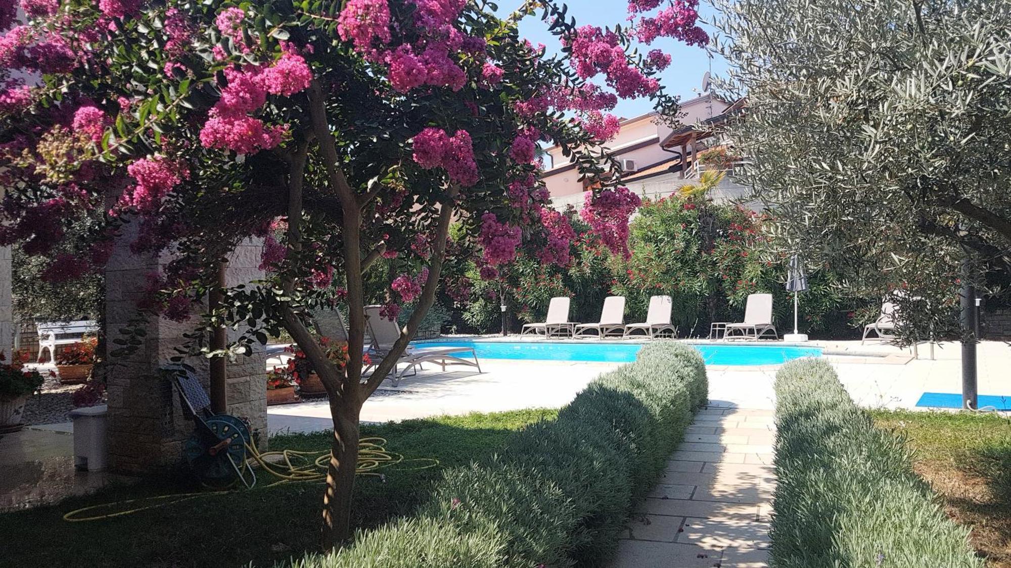 Villa Hope Apartments Poreč Eksteriør bilde